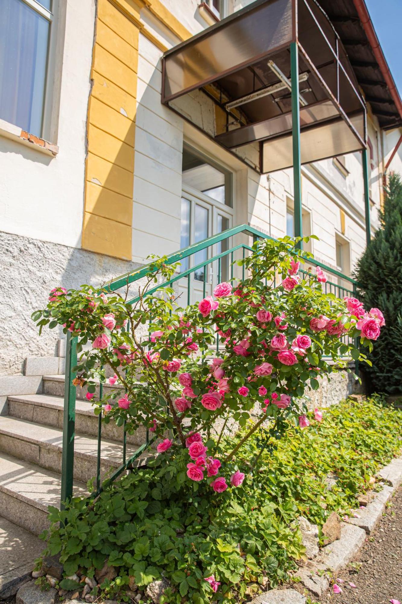 Pension V Parku Cesky Sternberk Exterior photo